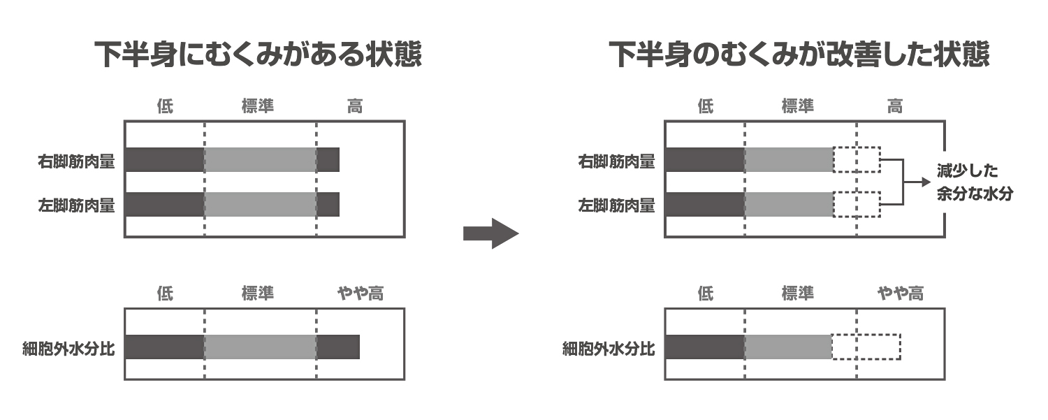 公式 体成分分析装置inbody インボディ